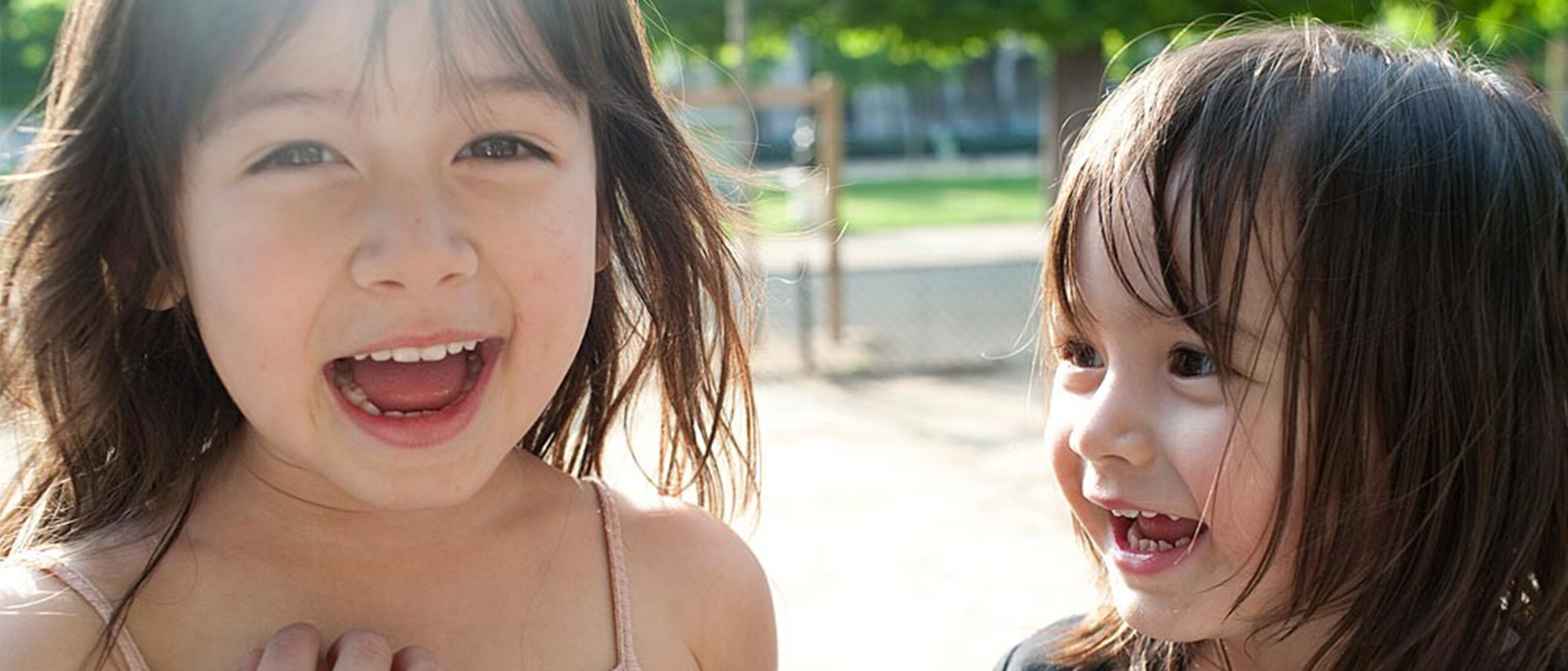 WEBサイトがリニューアルオープンしました！