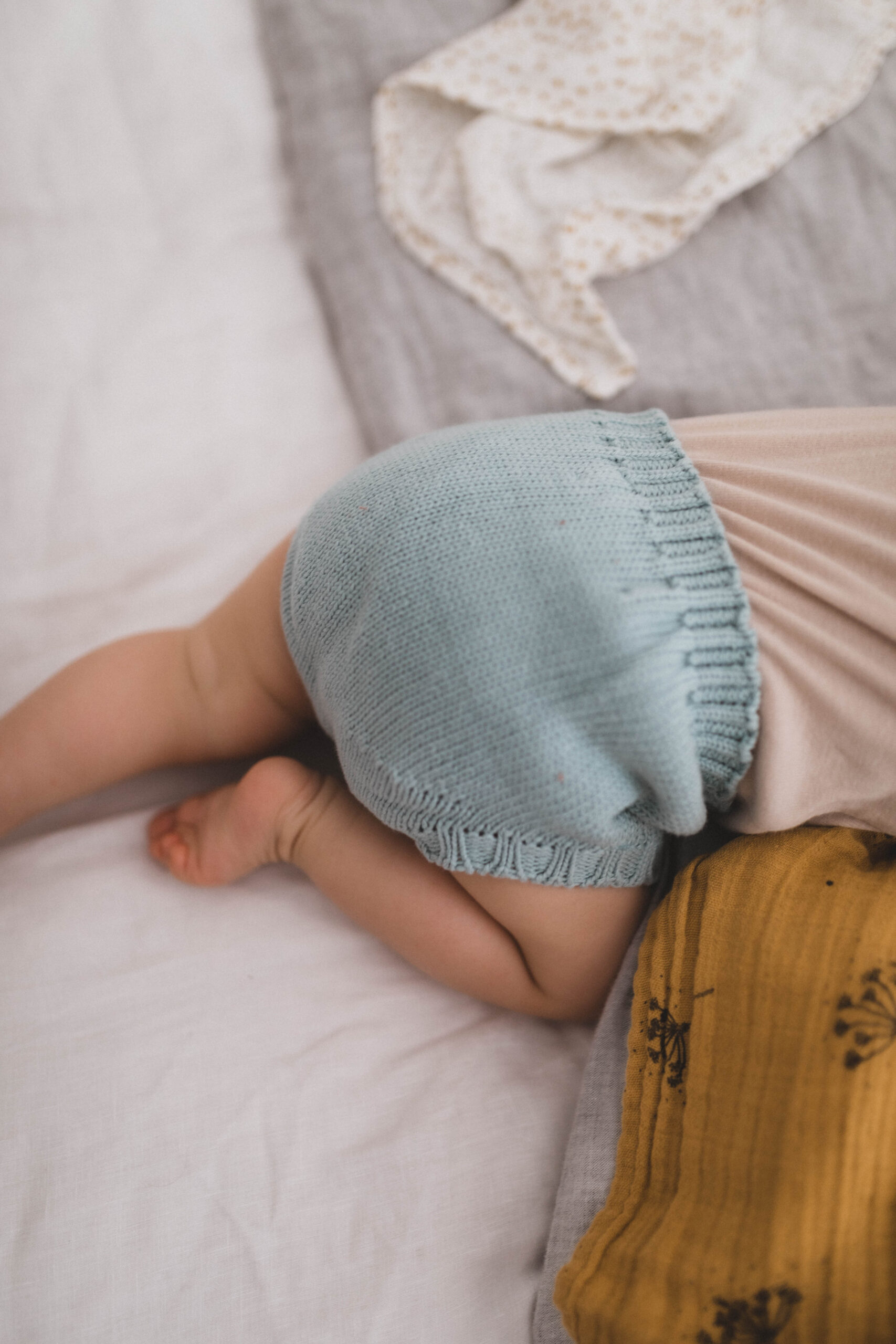 rose in april(ローズインエイプリル)<br> Baby Bloomer - 画像 (4)